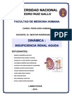 Dinámica Insuficiencia Renal Aguda