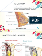 Patologías de La Glándula Mamaria