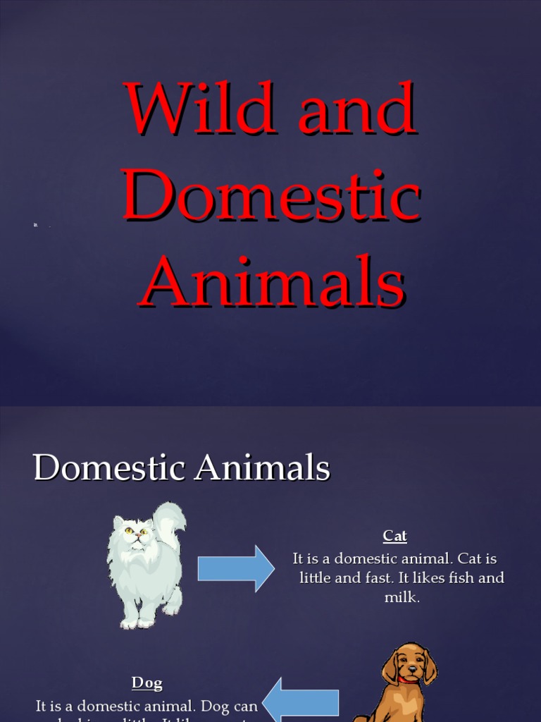 Wild and Domestic Animals Overview | PDF | Goat | Mouse
