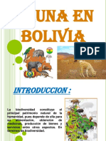 UNA EN BOLIVIA