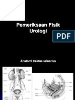 Pemeriksaan Fisik Penderita Urologi2