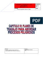 CAPITULO IV Planes de Trabajo para Abordar Procesos PELIGROSOS Abel