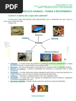 1.1 - Diversidade dos animais - Forma e Revestimento - Ficha Informativa.pdf