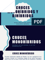 Cruces Monohibridos