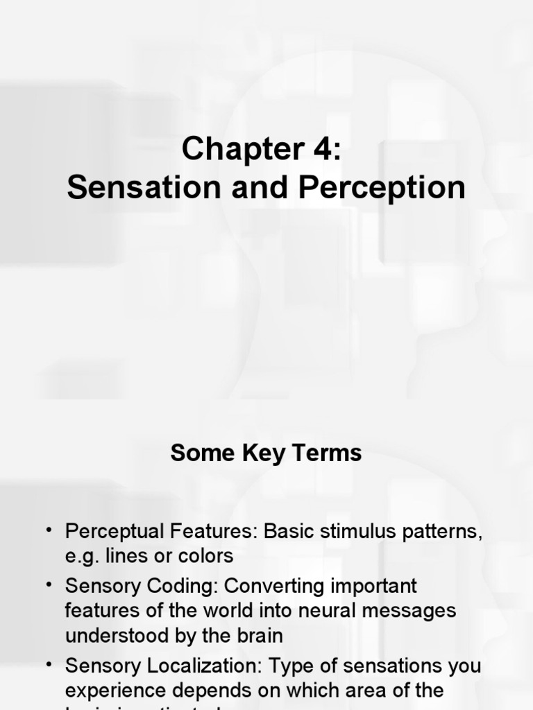 Sensation and Perception | PDF | Hearing | Visual Perception
