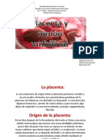 Placenta y Cordon Umbilical