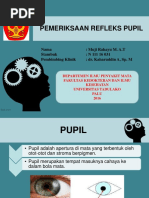 Ukuran Pupil Mata Normal dan Kelainan | PDF