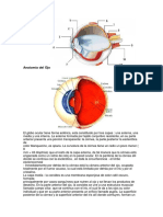 Anatomía del Ojo.docx