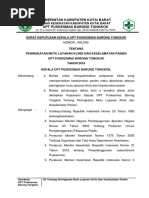 Sk 13 Persyaratan Petugas Yang Berhak Memberi Resep Pdf