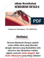 Almiira - PPT Penyuluhan DBD PDF