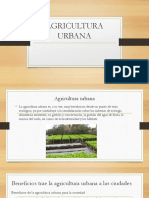 Agricultura Urbana.pptx