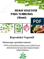 Reproduksi Vegetatif Alami