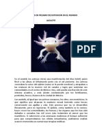 AJOLOTE.docx