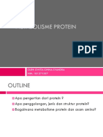 Metabolisme Protein