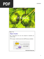 Bioquímica. Fotossíntese e Quimiossíntese