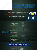 PUNTOS DE REFERENCIA PARA UNA TEM.pptx