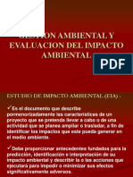 Diapositivas EIA Ejemplo PDF