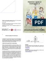 Cromosoma X PDF