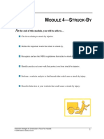 4pg-module4-struck-by2008.pdf