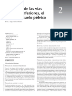Anatomía de Las Vías Urinarias Inferiores, El Recto y El Suelo Pélvico