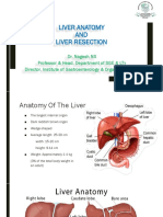 Liver Anatomy and Resection
