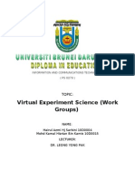 Virtual Experiment Science (Work Groups) : Topic