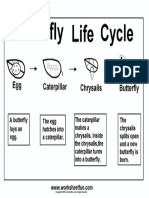 butterfly life cycle3.pdf