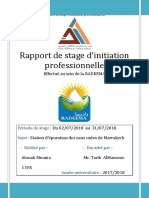 rapport final stage STEP pdf.pdf