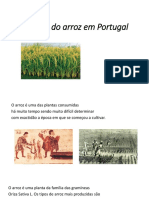 História Do Arroz em Portugal