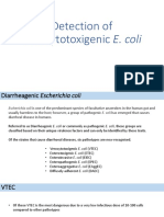 Verocytotoxigenic E. Coli