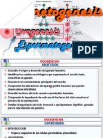 (4)b Ovogénesis-cicl Reprod Arteaga m.