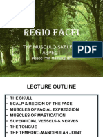 Regio Facei