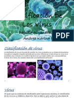 Clasificacion de Virus