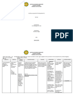 Saint Paul University Dumaguete College of Nursing Nursing Care Plan Form