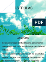 GASTRULASI 