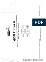 CATKing GDPI Primer 4 PDF