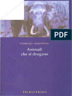 Animali Che Si Drogano