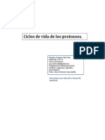 Gsolis_Ciclos de Vida de los Protozoos(FILEminimizer).docx