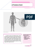 Bab 03 Alat Peredaran Darah