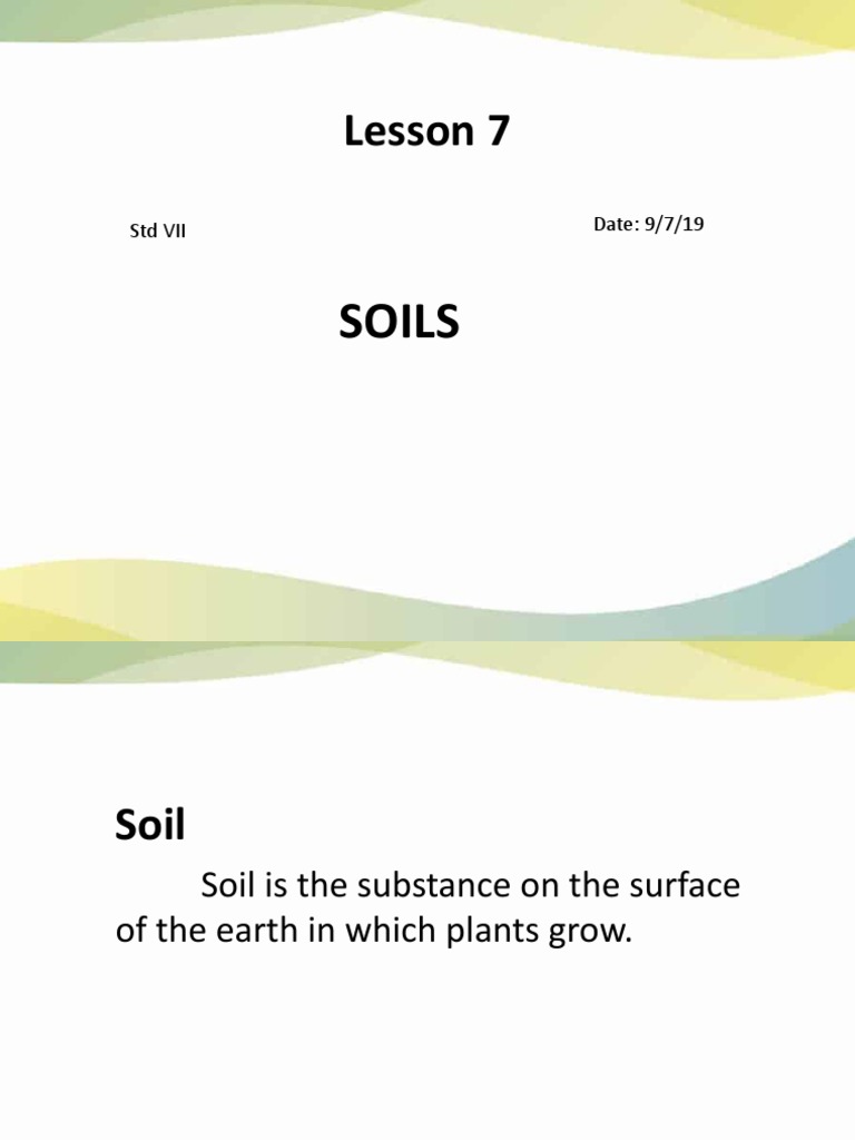 Lesson 7: Soils | PDF | Weathering | Soil