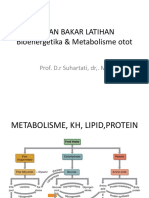 Bahan Bakar Latihan Bioenergetika & Metabolisme Otot: Prof. D.R Suhartati, Dr,. MS