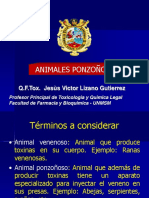 Animales Ponzon Osos 2015