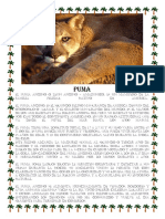 Puma.docx