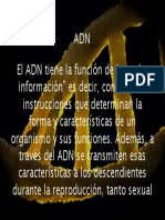 ADN.pdf