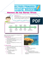 Reinos de Los Seres Vivos para Cuarto de Primaria