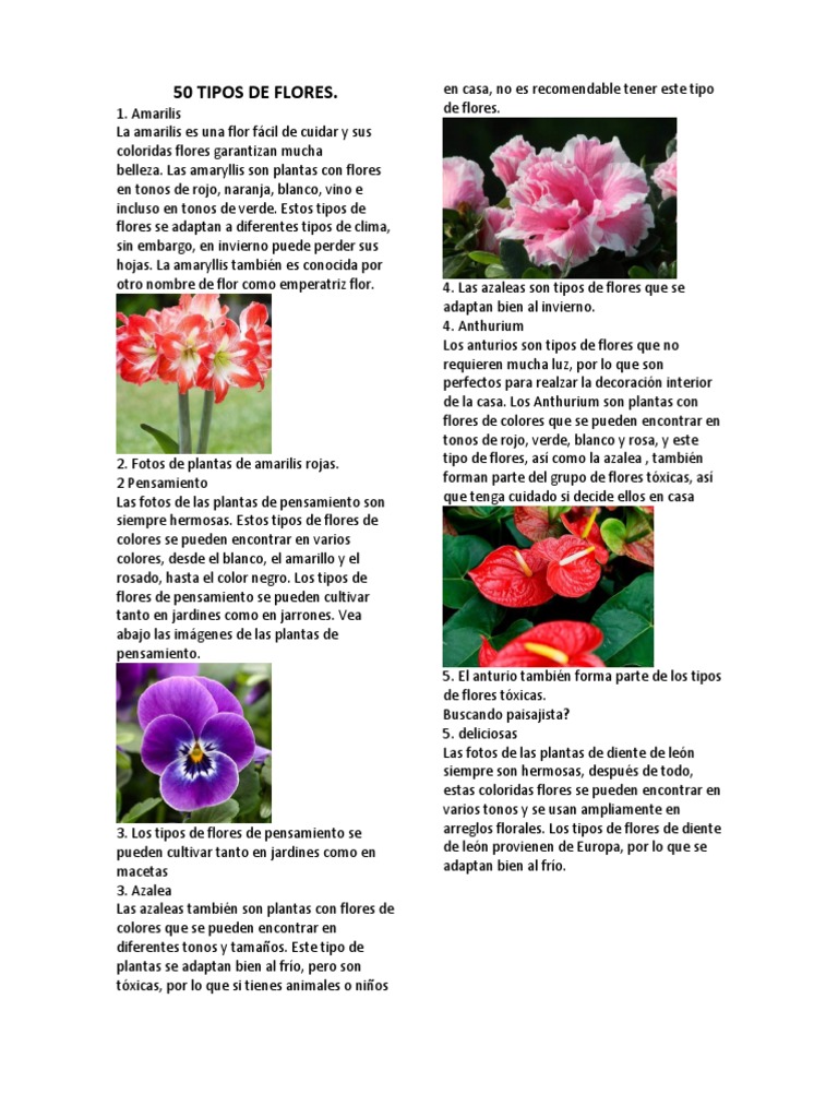 Flor De Conjunto De Vectores Dibujo A Mano Dibujo Dibujo , 47% OFF