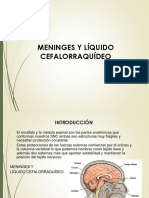 Meninges y Líquido Cefalorraquídeo