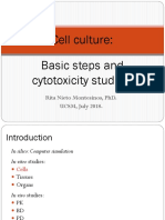 Basic Steps and Cytotoxicity Studies. Cell Culture:: Rita Nieto Montesinos, Phd. Ucsm, July 2018