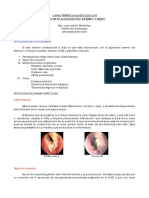 Características Audiológicas Patologías OE y OM.pdf