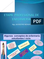 Etapa Profesional de Enfermeria - PPTX Historia